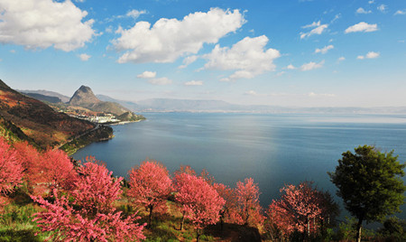 一 金云龍 高原明珠（ 18787706067）-2.jpg