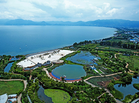 y 張本聰 組照 仙湖濕地6.JPG