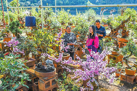 0_副本.jpg 0_副本.jpg