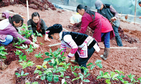 1_副本.jpg 1_副本.jpg