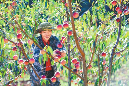 6_副本.jpg 6_副本.jpg