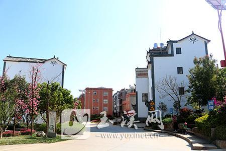 L_1553667264195634135