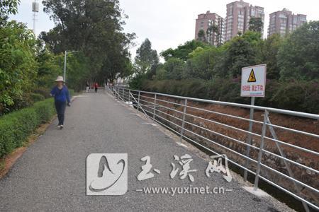 已安裝好護欄的金水河岸