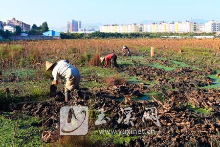 L_1574692005002844575