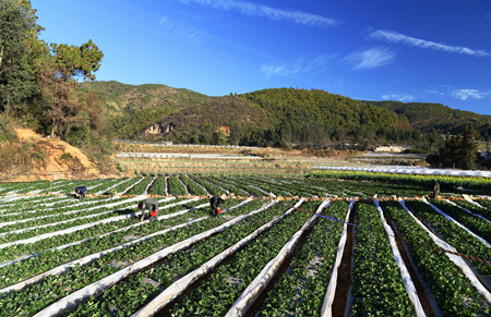 L_1577665619341779924.jpg L_1577665619341779924.jpg