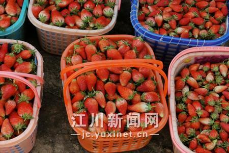 微信圖片_202003241527572