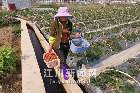 微信圖片_202003241527571