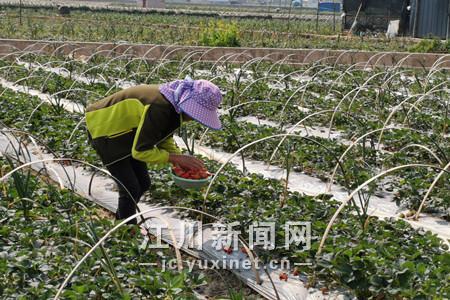 微信圖片_20200324152757