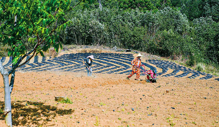 20200401015433120.jpg 20200401015433120.jpg