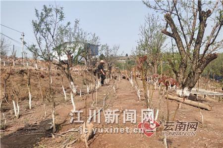 00301570478_719de3f1