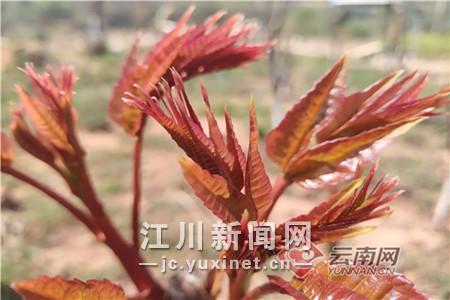 00301570476_7eb1b61c