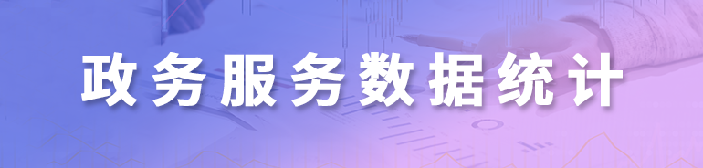 政務(wù)服務(wù)數(shù)據(jù)統(tǒng)計(jì)