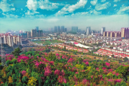 QQ圖片20220105082538.png QQ圖片20220105082538.png