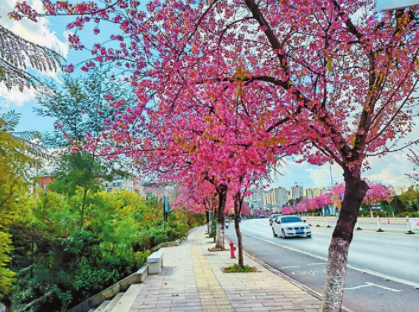 QQ圖片20220105082552.png QQ圖片20220105082552.png