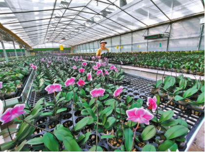 QQ圖片20230303093128.png QQ圖片20230303093128.png