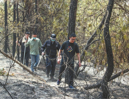 QQ圖片20230421131021.png QQ圖片20230421131021.png