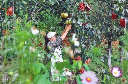 QQ圖片20230913084412.png QQ圖片20230913084412.png