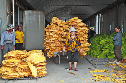 QQ圖片20231023084734.png QQ圖片20231023084734.png