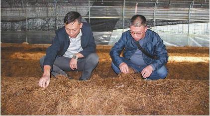 QQ圖片20231107091106.png QQ圖片20231107091106.png