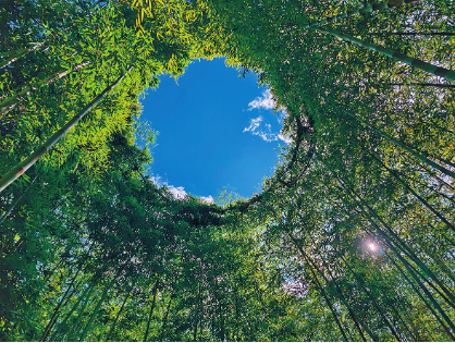 QQ圖片20240103085648.png QQ圖片20240103085648.png