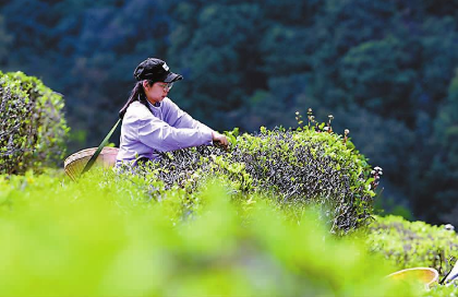 QQ圖片20240402082346.png QQ圖片20240402082346.png