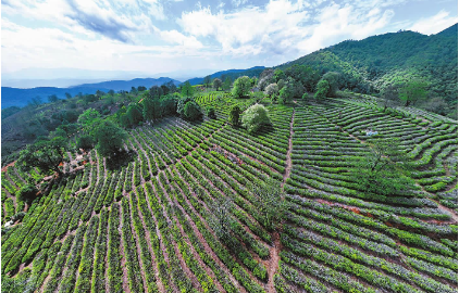 QQ圖片20240402082402.png QQ圖片20240402082402.png