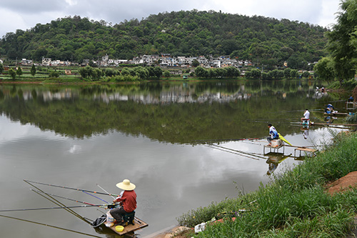 綠美鄉村入畫來.jpg 綠美鄉村入畫來.jpg