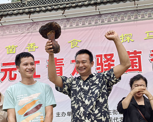 元江青龍驛菌香美食文化節舉行.jpg 元江青龍驛菌香美食文化節舉行.jpg