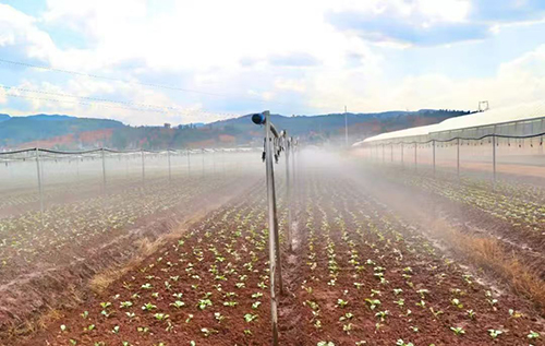 華寧縣寧州街道:立足優勢謀發展 補齊短板出實招.jpg 華寧縣寧州街道:立足優勢謀發展 補齊短板出實招.jpg