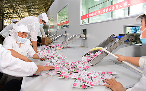 綠色食品加工忙 帶動就業促增收.jpg