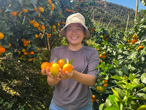 華寧：“金秋” 喜迎豐收！.jpg