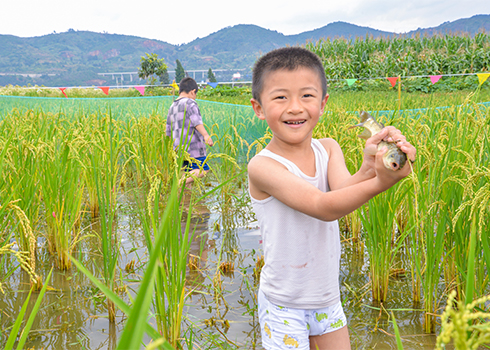 寧海街道打造農文旅產業融合發展新品牌1.jpg 寧海街道打造農文旅產業融合發展新品牌1.jpg