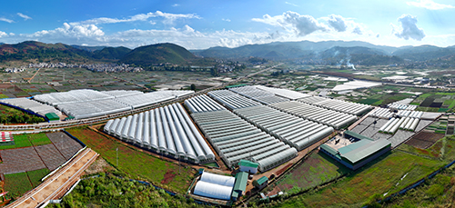 華寧大力發展現代設施農業.jpg