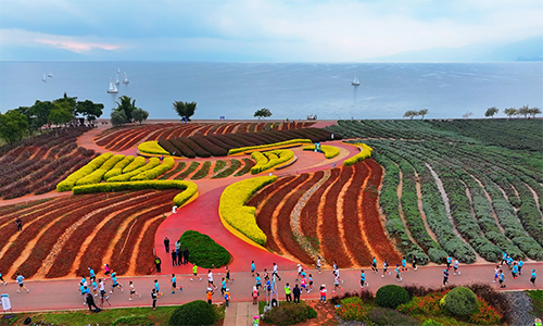 萬(wàn)名跑者沉浸式感受“最美賽道”.jpg