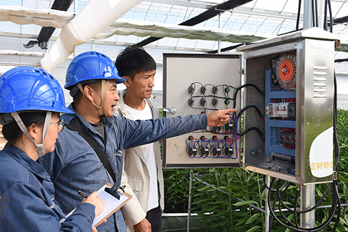 電力護(hù)航花卉產(chǎn)業(yè)蓬勃發(fā)展.jpg 電力護(hù)航花卉產(chǎn)業(yè)蓬勃發(fā)展.jpg