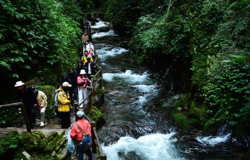 哀牢山風景區受游客青睞.jpg