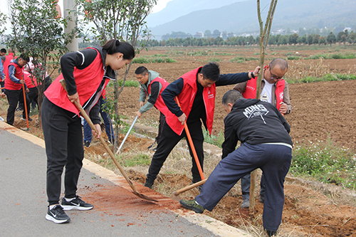 路居鎮組織開展義務植樹活動.jpg