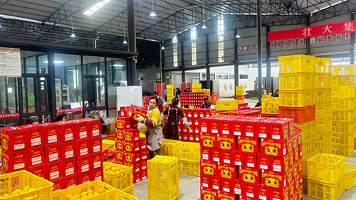 25噸冰糖橙通過本地企業銷往加拿大.jpg 25噸冰糖橙通過本地企業銷往加拿大.jpg