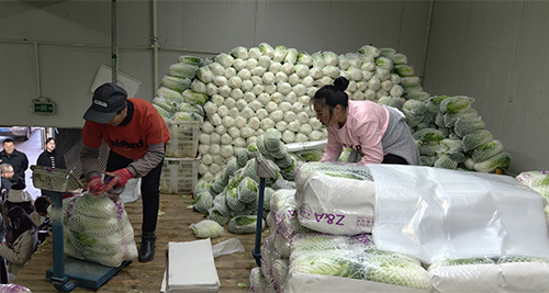 搭乘“鋼鐵巨龍” 奏響發展新樂章5.jpg