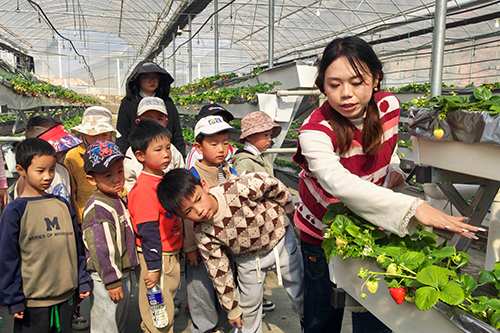 “草莓+研學”打造鄉村振興新業態.jpg