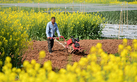 春耕生產正當時.jpg 春耕生產正當時.jpg