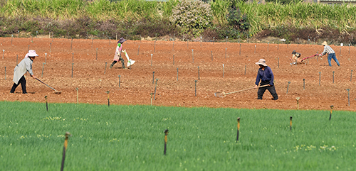 春耕正當(dāng)時 農(nóng)業(yè)生產(chǎn)忙.jpg 春耕正當(dāng)時 農(nóng)業(yè)生產(chǎn)忙.jpg