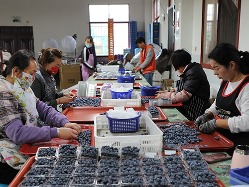 促鄉村振興 筑和諧穩定.jpg