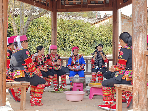 兩會聲音傳彝鄉 共話鄉村振興路.jpg