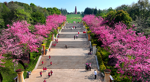 春和景明踏青賞花.jpg 春和景明踏青賞花.jpg