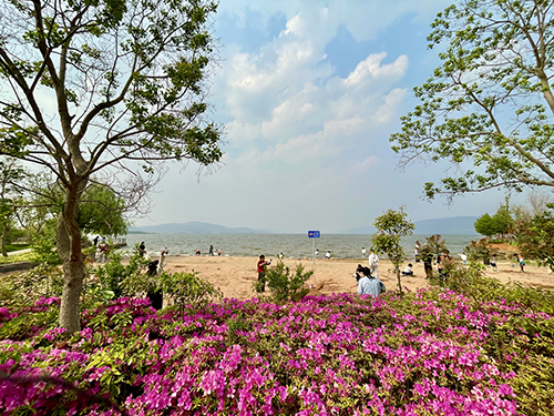 悠游玉溪 踏春尋芳.jpg