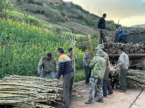 愛心善舉帶動產業轉型 家傳手藝釀成蔗酒飄香1.jpg