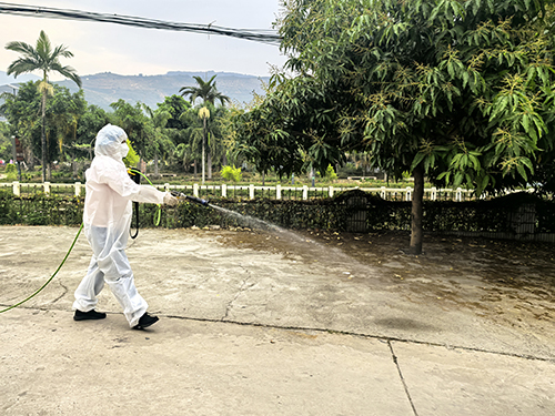 甘莊街道開展除“四害”活動.jpg 甘莊街道開展除“四害”活動.jpg