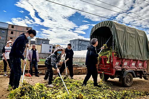通海積極開展人居環境整治.jpg 通海積極開展人居環境整治.jpg