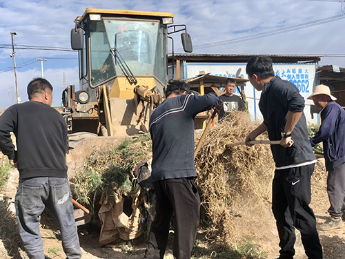 通海積極開展人居環境整治1.jpg 通海積極開展人居環境整治1.jpg